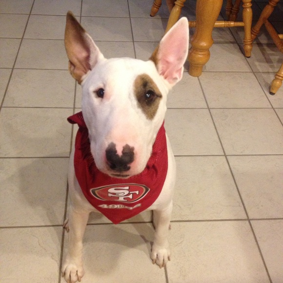 @sfgiants_fan closet - Picture 4 of 14